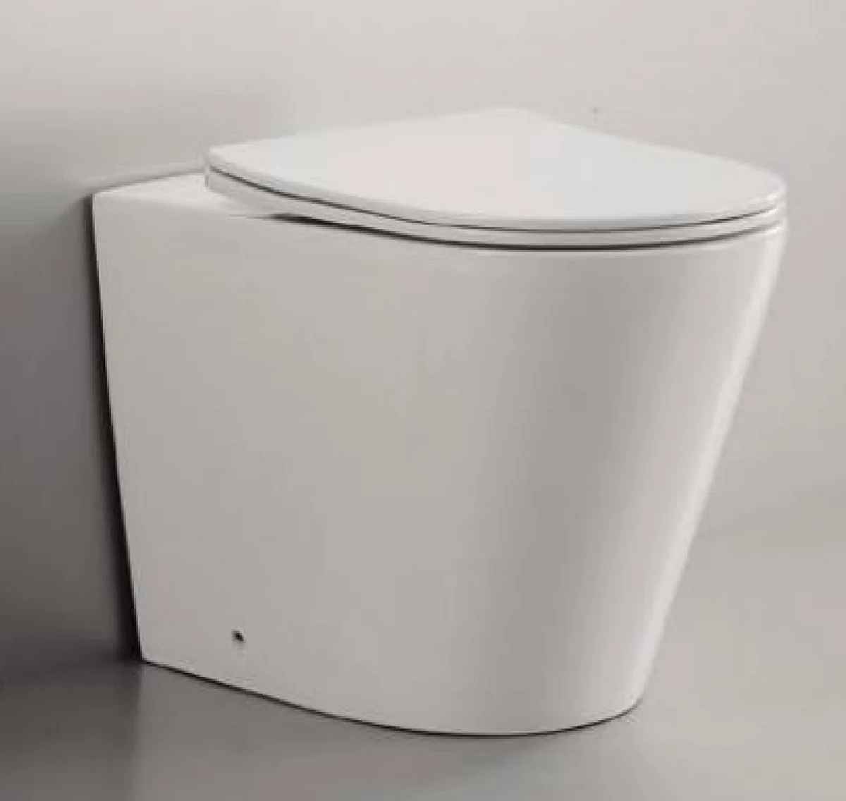 Torina Rimless In-Wall Rimless Pan Toilet